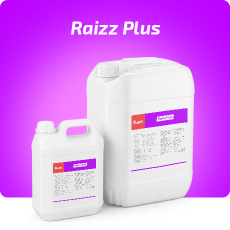 Forte Fluid Raizz Plus