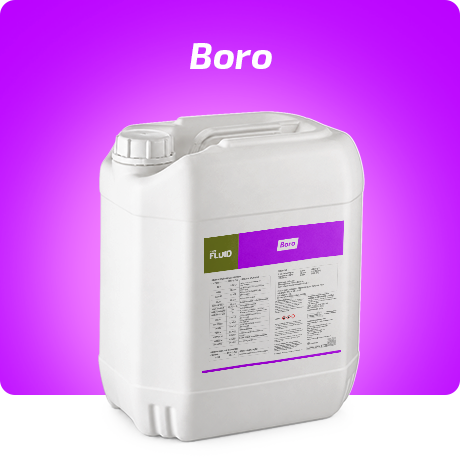 Forte Fluid Boro