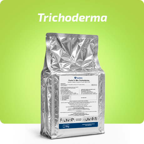 Forte V-Bio Trichoderma