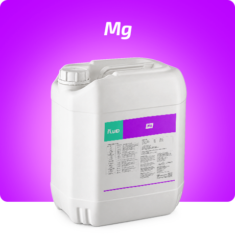 Forte Fluid Mg