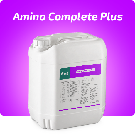 Forte Fluid Amino Complete Plus