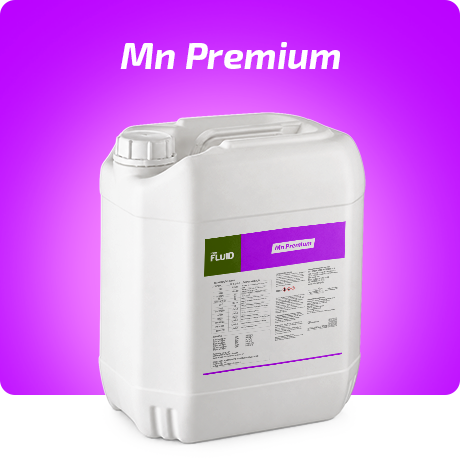 Forte Fluid Mn Premiun