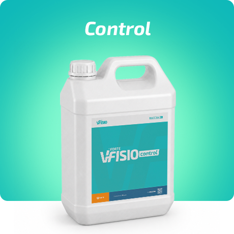 Forte V-Fisio Control